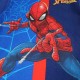 Marvel Spiderman Παιδικό Σετ Κοντομάνικο Καλοκαιρινό Με Σορτς  Αγόρι 258 Navy Μπλε