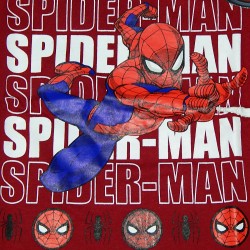 Spiderman paidiki mplouza gia agoria 801